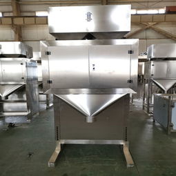 冷凍小食品自動(dòng)定量包裝機(jī)廠家直銷