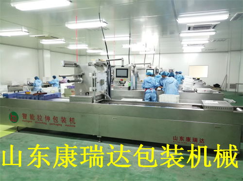 鴨脖全自動連續(xù)真空包裝機(jī)哪家好？山東康瑞達(dá)，誠信商家誠包裝機(jī)械的優(yōu)秀選擇